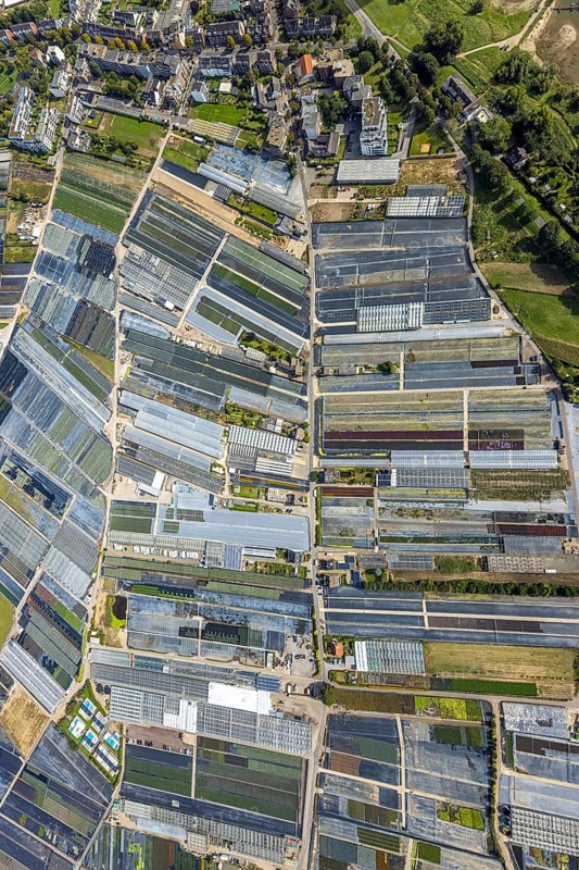 Aerial view, horticultural farms and agricultural use in the district of Volmerswerth, shapes and colours with graphic representation, Volmerswerth, Düsseldorf, Ruhr area, North Rhine-Westphalia, Germany