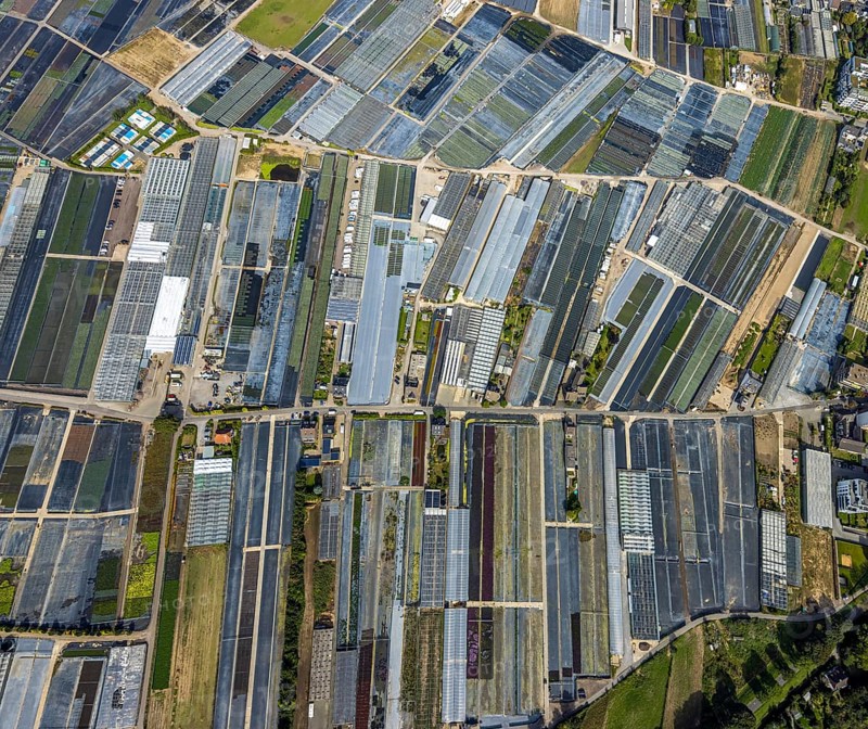 Aerial view, horticultural farms and agricultural use in the district of Volmerswerth, shapes and colours with graphical representation, Volmerswerth, Düsseldorf, Ruhr area, North Rhine-Westphalia, Germany, DE, Europe, aerial view, aerial photography, aerial photography, overview, bird's-eye view, overview