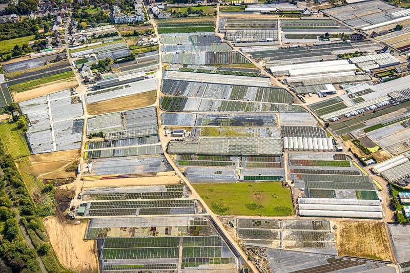 Aerial view, horticultural farms and agricultural use in the district of Volmerswerth, shapes and colours with graphical representation, Volmerswerth, Düsseldorf, Ruhr area, North Rhine-Westphalia, Germany, DE, Europe, aerial view, aerial photography, aerial photography, overview, bird's-eye view, overview