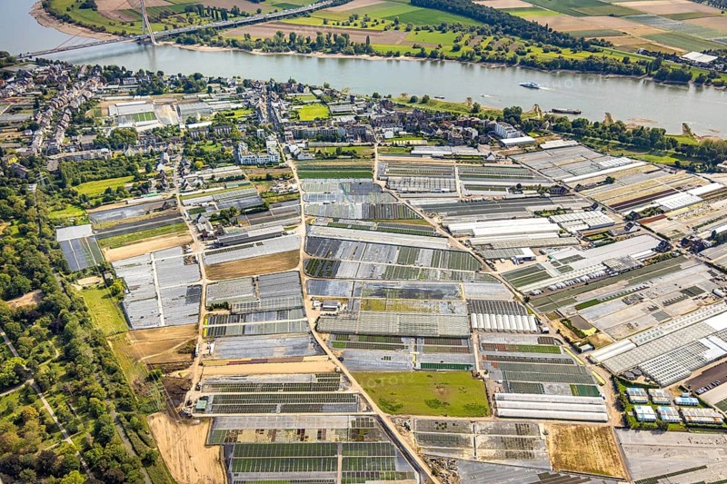Aerial view, horticultural farms and agricultural use in the district of Volmerswerth, shapes and colours with graphical representation, Volmerswerth, Düsseldorf, Ruhr area, North Rhine-Westphalia, Germany, DE, Europe, aerial view, aerial photography, aerial photography, overview, bird's-eye view, overview