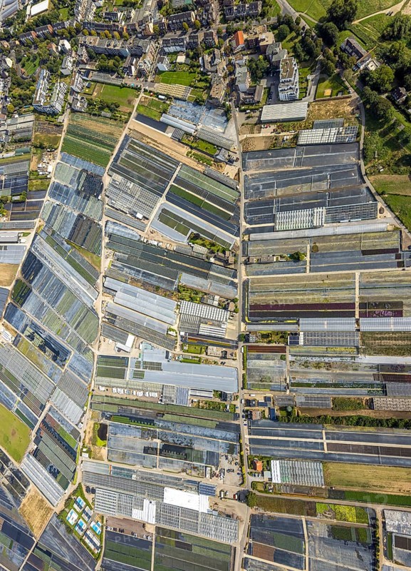 Aerial view, horticultural farms and agricultural use in the district of Volmerswerth, shapes and colours with graphical representation, Volmerswerth, Düsseldorf, Ruhr area, North Rhine-Westphalia, Germany, DE, Europe, aerial view, aerial photography, aerial photography, overview, bird's-eye view, overview