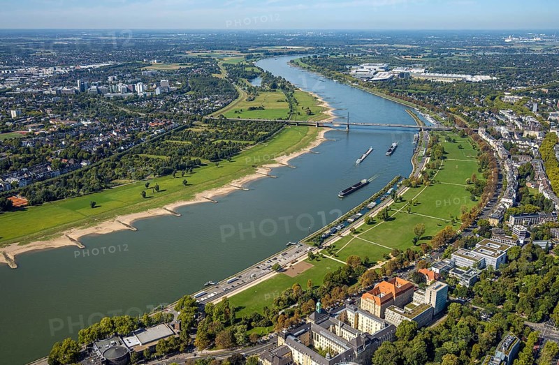Aerial view, Theodor-Heuss-Bridge and inland navigation on the river Rhine, Rheinpark Golzheim, left Niederkasseler Deich, view to the exhibition centre, Niederkassel, Düsseldorf, Ruhr area, North Rhine-Westphalia, Germany, inland navigation, bridge, DE, Europe, river, aerial view, aerial photography, aerial photography, road traffic, overview, bird's-eye view, overview