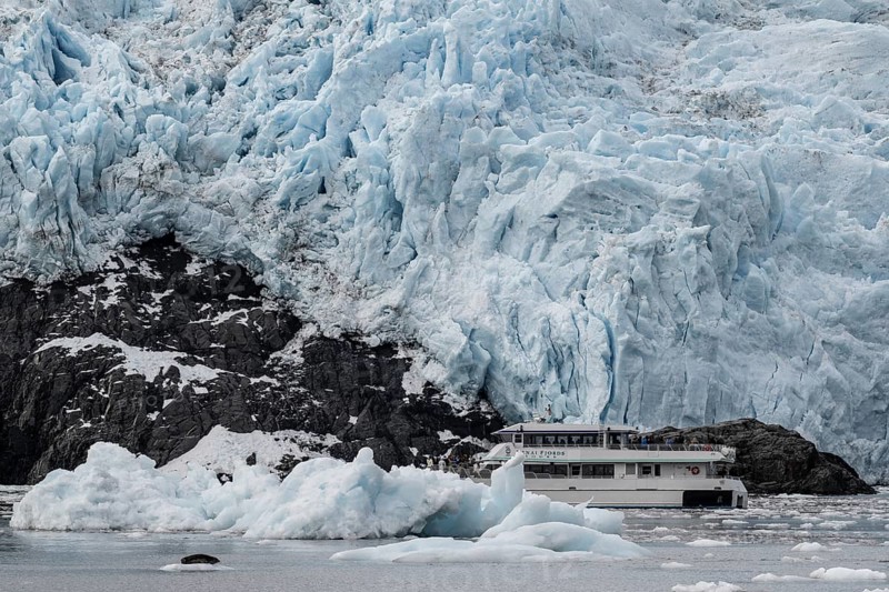 Holgate Glacier, Kenai Fjords National Park, Alaska, USA