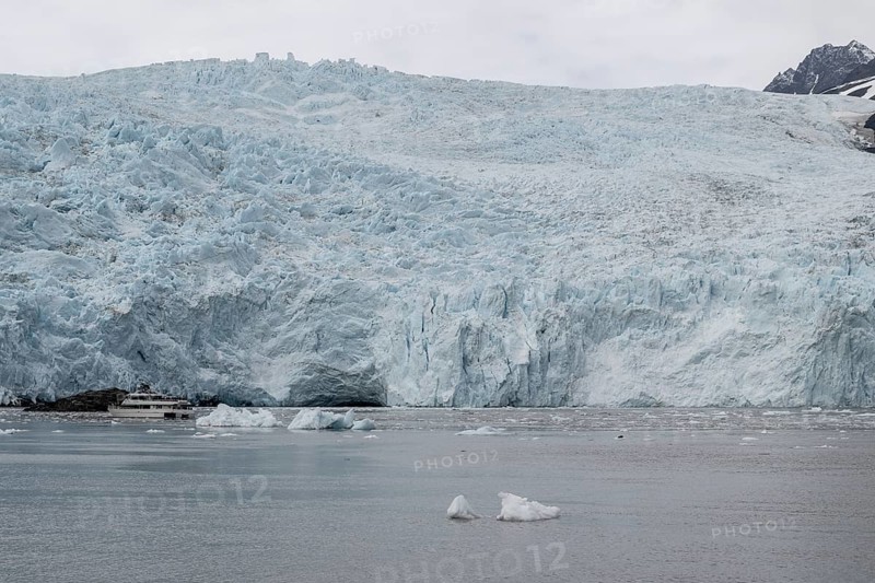 Holgate Glacier, Kenai Fjords National Park, Alaska, USA