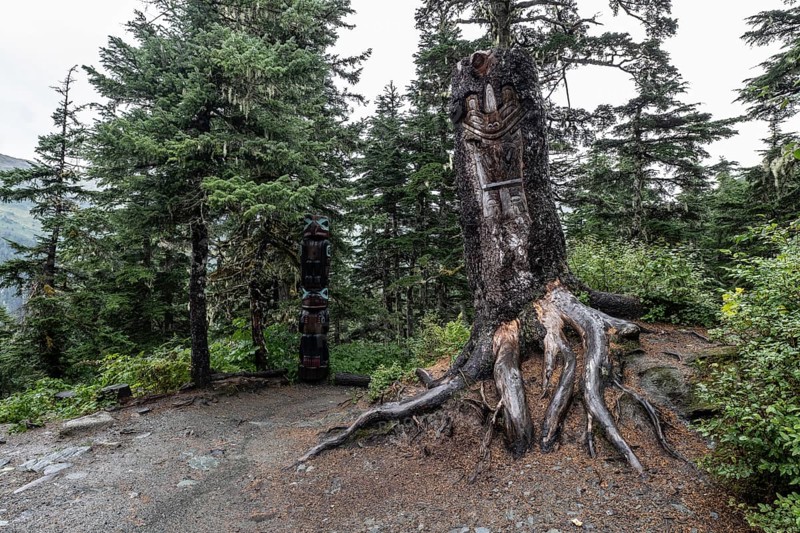 Totem pole carved into a tree, Juneau, Alaska, USA