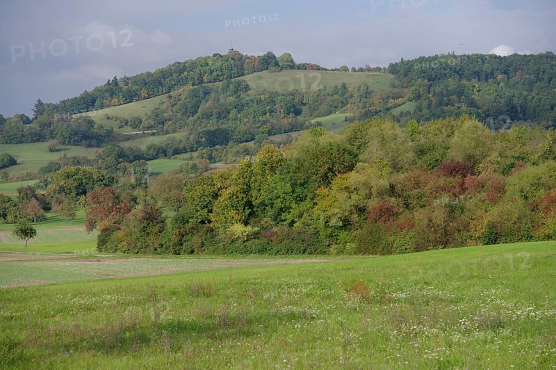 View of the Einkorn, local mountain of Schwäbisch Hall, Limpurger Berge, Limpurger Land, Hessental, Schwäbisch Hall, Hohenlohe, Germany
