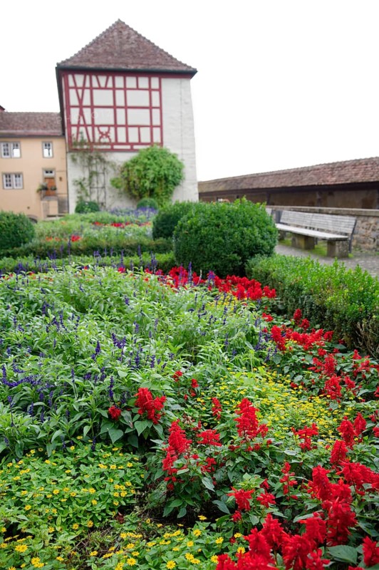 Flower bed at Comburg Castle, Benedictine monastery, Way of St James, pilgrimage route, pilgrims, Schwäbisch Hall, Hohenlohe, Germany