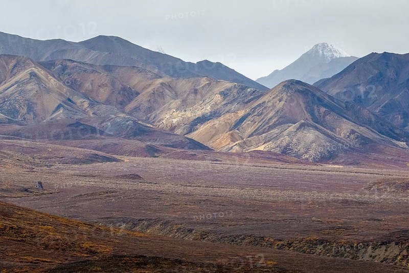 Mountain range, Polychrome Range, Denali National Park, Alaska, USA