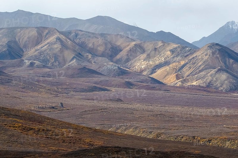 Mountain range, Polychrome Range, Denali National Park, Alaska, USA
