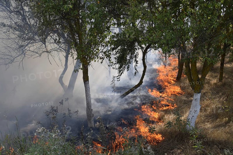 Fire in the forest. Fire and smoke in the forest litter. The grass is burning in the forest. Atyrau, Kazakhstan