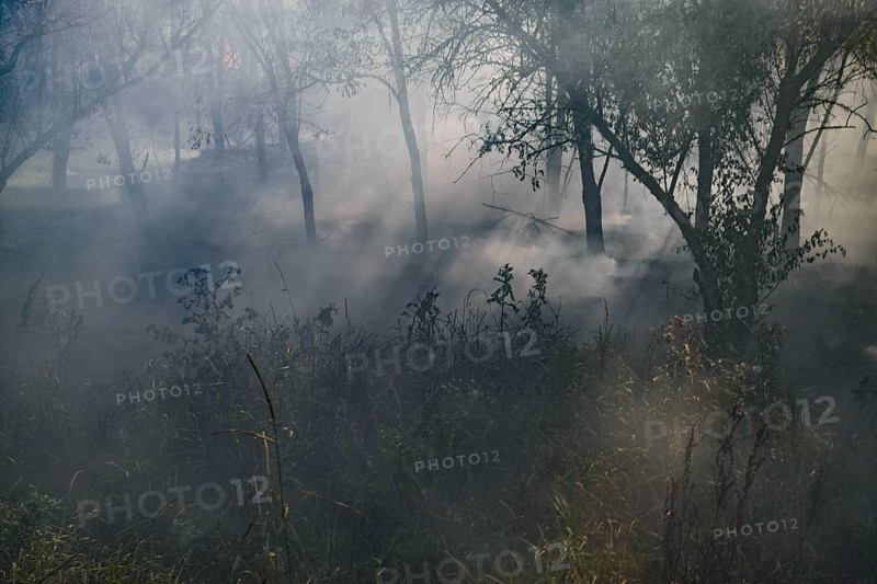 Fire in the forest. Fire and smoke in the forest litter. Atyrau, Kazakhstan