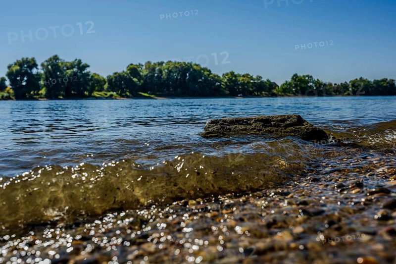 The sun shines on the calm waters of a river. Small waves gently lap against the shore, while the green bank with trees and bushes can be seen. Bogen, Lower Bavaria