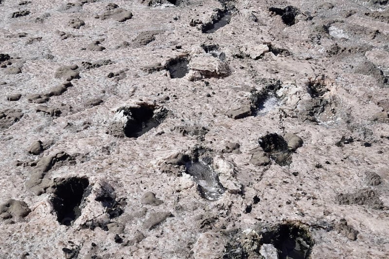 Traces of human feet in the salt lake of mud. Taman, Krasnodar Krai, Russia