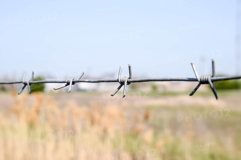 Barbed wire. Barbed wire fencing. Taman, Krasnodar Krai, Russia