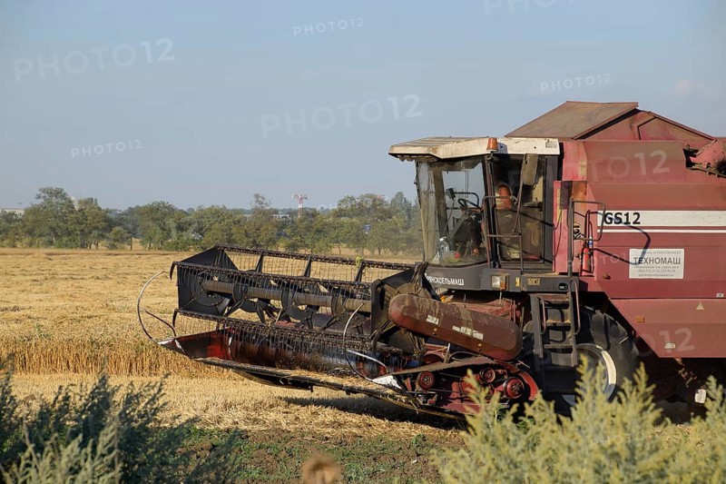 Russia, Poltavskaya village - September 6, 2015: The old combine harvester harvests wheat. Agricultural machinery