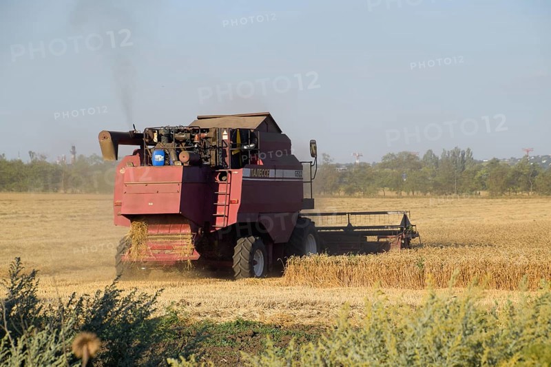 The old combine harvester harvests wheat. Krasnodar, Russia