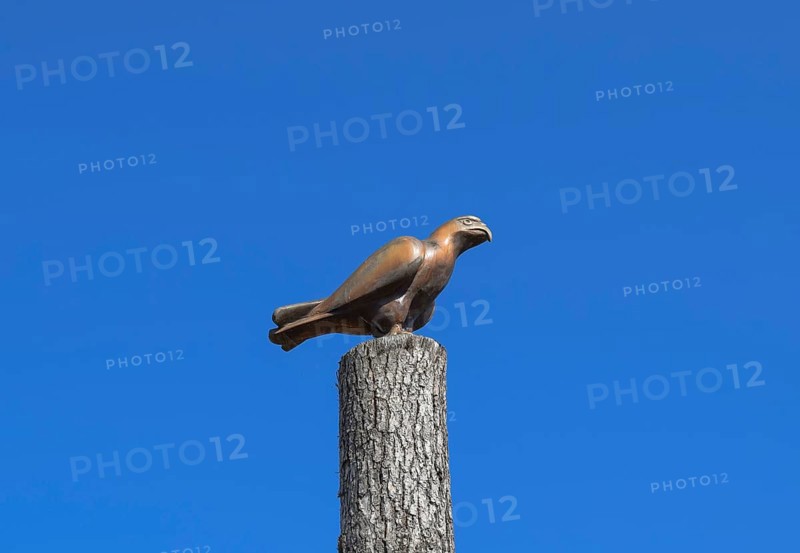 Figurine of a falcon on a stump of a tree against the blue sky. Taman, Krasnodar Krai, Russia
