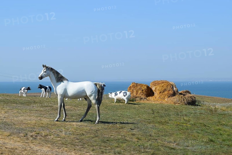 White horse, Figures of horses made of plastic on the lawn. Taman, Krasnodar Krai, Russia