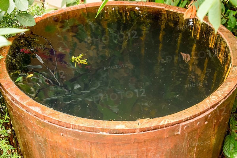 Wooden barrel filled with water. Taman, Krasnodar Krai, Russia