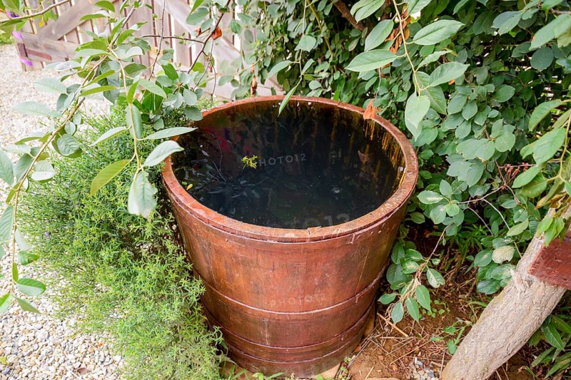 Wooden barrel filled with water. Taman, Krasnodar Krai, Russia