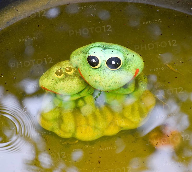 Statue of a toy frog with a frog underwater in a pond. Taman, Krasnodar Krai, Russia