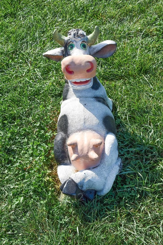 Toy cow lying upside udder. Taman, Krasnodar Krai, Russia