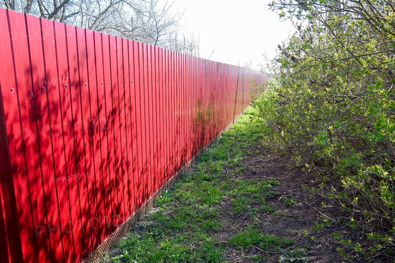 Green grass by the red fence. Atyrau, Kazakhstan