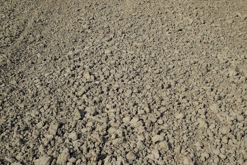 Plowed field, rows from soybean sowing. Atyrau, Kazakhstan