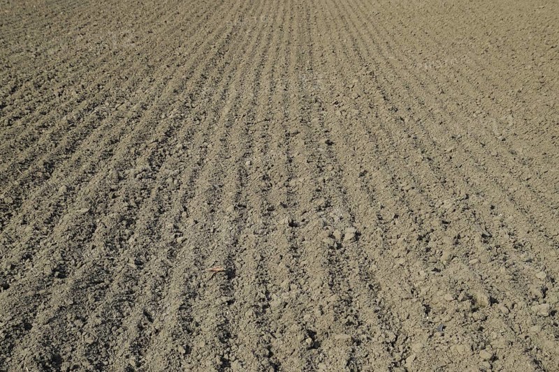 Plowed field, rows from soybean sowing. Atyrau, Kazakhstan