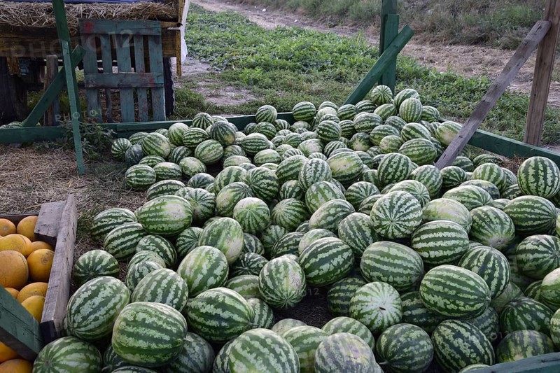 Collected in a pile of melons and watermelons. Atyrau, Kazakhstan