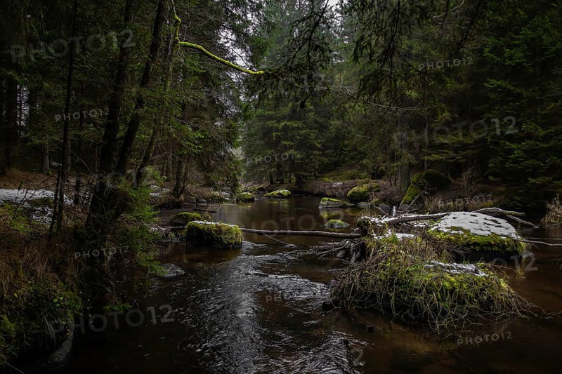 River Kamp Flows Through Valley With Forest And Mossy Boulders In Lower Austria (Waldviertel) In Austria