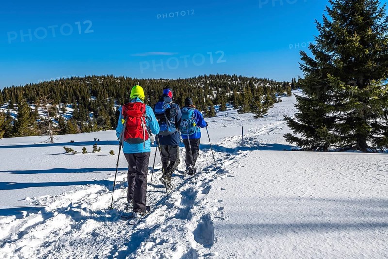 Group Of Sporty Hikers With Snowshoes On A Trail Through Winter Landscape On Mountain Rax In The European Alps In Austria