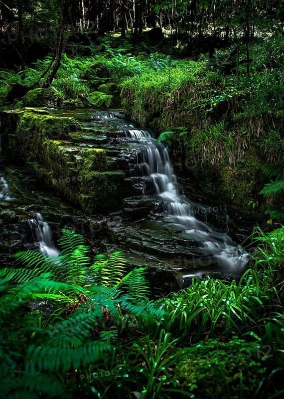 Small Long Exposured Creek With Waterfall In Mystic Forest Near Ullapool In Scotland, United Kingdom
