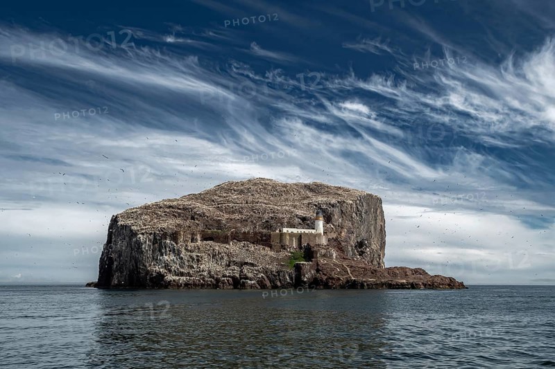 Bass Rock Island With Nesting Northern Gannets (Morus Bassanus) In The Atlantic Ocean Of Firth of Forth At North Berwick Near Edinburgh In Scotland, United Kingdom