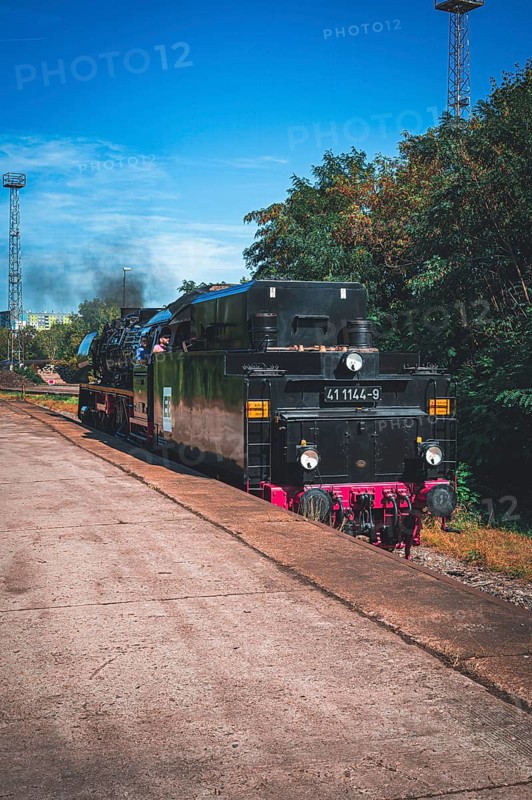 An old steam locomotive stands on the tracks next to an overgrown platform under a blue sky, Gera, Thuringia, Germany