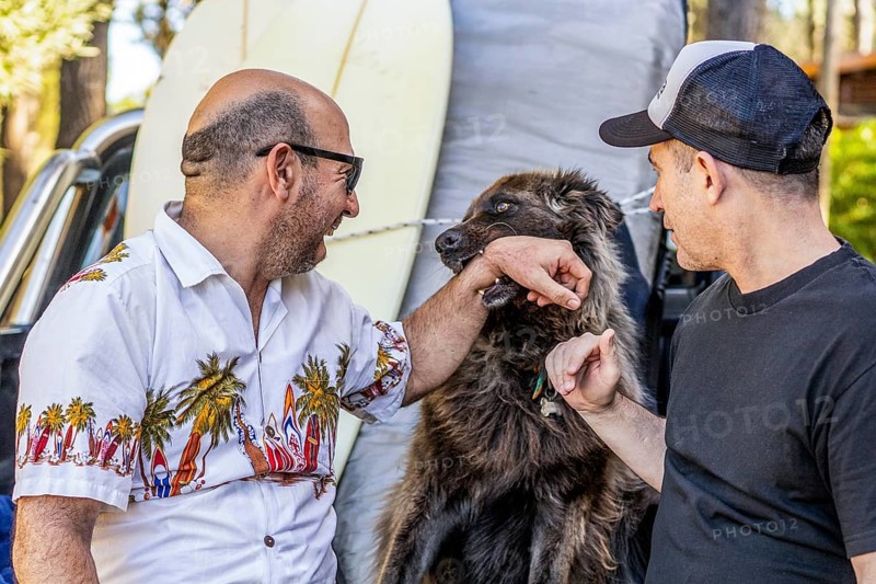 Two men and a dog smiling in the back of a pickup truck