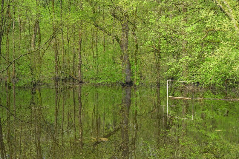 Submerged alluvial forest and a football goal on an oxbow lake of the Sava, Cigoc, Sisak-Moslavina County, Croatia