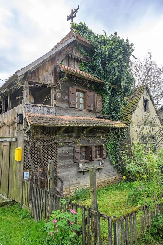 Old wooden house overgrown with ivy, Cigoc, Sisak-Moslavina County, Croatia