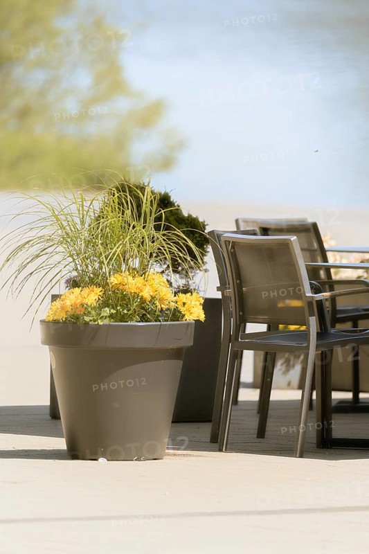 Large flower pot with yellow flowers and ornamental grass next to modern garden chairs on asphalt, catering detail, North Rhine-Westphalia, Germany