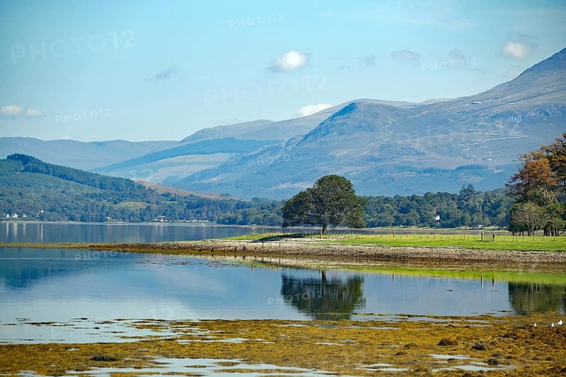 A tranquil loch surrounded by mountains with a peaceful natural landscape in the background, Loch Eil, Ben Nevis, Scotland, United Kingdom