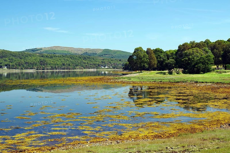 A still loch reflects the blue sky and surrounding green landscape, Loch Eil, Scotland, United Kingdom