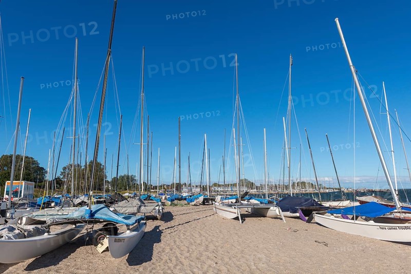 Catamarans on the beach, Strande near Kiel, Rendsburg-Eckernförde district, Baltic Sea, behind the marina, sailing, leisure activities, water sports, seashore, sandy beach, summer, ship masts, blue sky, sunshine, Bay of Kiel, Schleswig-Holstein, Germany