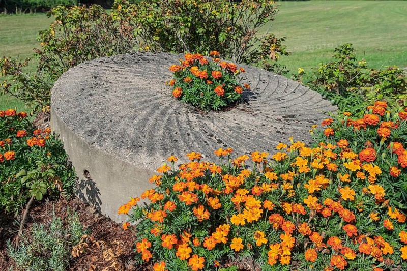 Old millstone as decoration in a flower bed, Münsterland, North Rhine-Westphalia, Germany