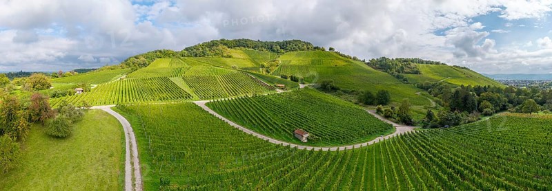 Sunny vineyards with green hills and winding paths, Winterhalde area, Korber Kopf, near the municipality of Korb im Remstal, Baden-Württemberg, Germany