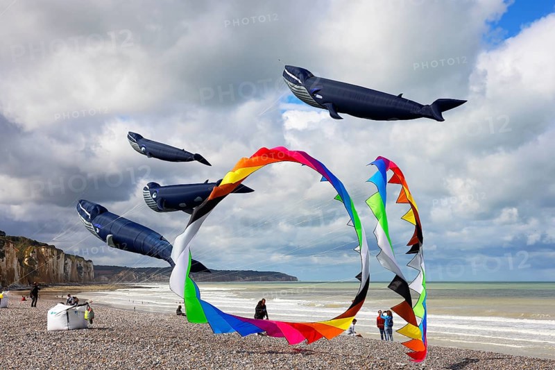 Kite festival on the beach, international kite festival, kites in the shape of whales, Dieppe, Normandy, France