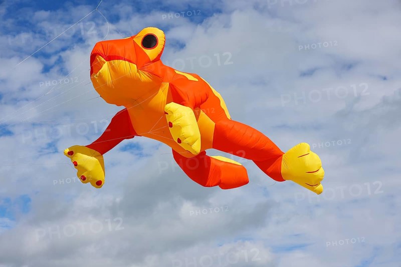 Kite festival, international kite festival, kite in the shape of a frog, Dieppe, Normandy, France