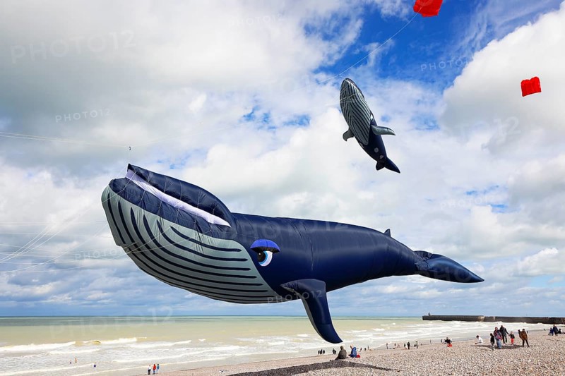 Kite festival on the beach, international kite festival, kites in the shape of whales, Dieppe, Normandy, France