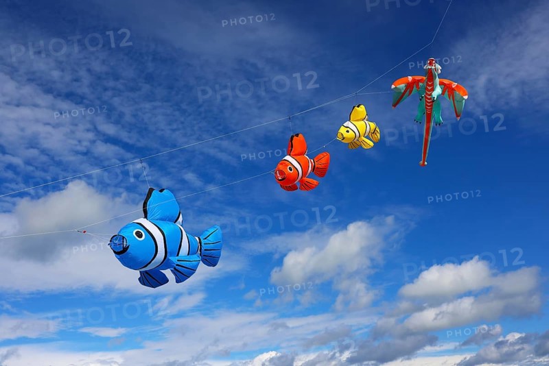 Kite Festival, International Kite Festival, Dieppe, Normandy, France