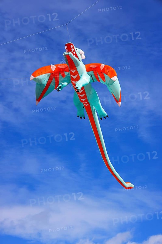 Kite festival, international kite festival, kite in the shape of a kite, Dieppe, Normandy, France