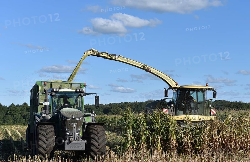Forage harvester and tractor harvesting maize, Schleswig-Holstein, Germany